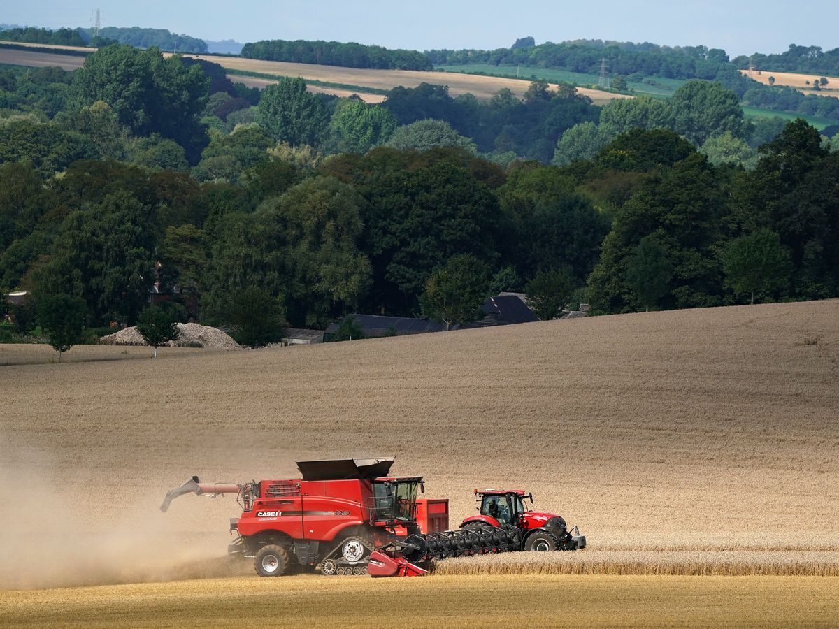 Reeves protects nature-friendly farming budget amid squeeze on environment spend