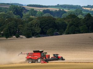 Supporting image for story: Reeves protects nature-friendly farming budget amid squeeze on environment spend