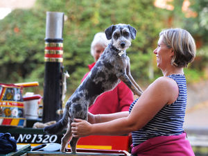 Supporting image for story: Boats gather at Bratch Locks to celebrate canal's 250th birthday