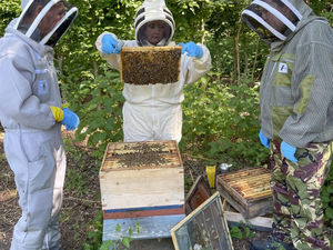 Supporting image for story: Next generation of Staffordshire beekeepers is set to get buzzing as bookings open for new courses