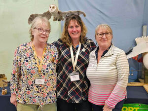 Supporting image for story: Wonderwool Wales 2024 targeting 6,000 visitors for this weekend’s show