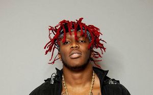 Supporting image for story