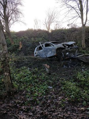 Supporting image for story