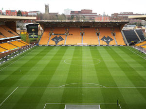 Supporting image for story: Wolves facing competition for Joao Gomes signature