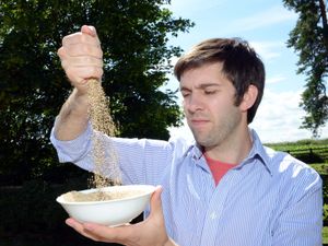 Supporting image for story: Ellesmere-based The British Quinoa Company to supply M&S