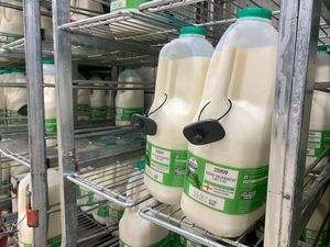 Tesco now puts security alarms on four pint bottles of milk