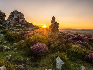 Supporting image for story: More than 1,000 hectares of rare Shropshire uplands protected as part of expanded Stiperstones nature reserve
