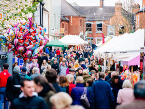 Supporting image for story: In pictures: Market Drayton Festival of Lights