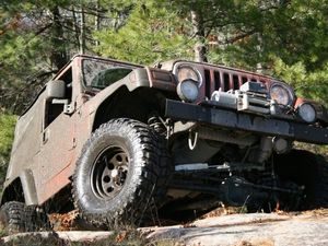 Supporting image for story: Action taken on off-roaders damaging woodland