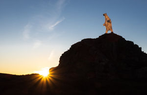 Clarion the Polar Bear by Bamber Hawes. Picture: Andrew Fusek Peters