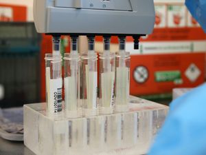 Supporting image for story: Drop in reports of new coronavirus cases – but fall is slower in Telford than rest of country