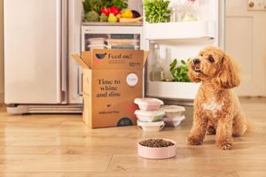 Different Dog packaging