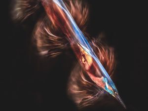 Supporting image for story: Amateur photographer snaps up title in national competition with amazing kingfisher picture
