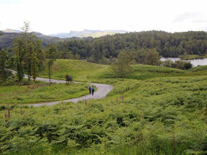 Supporting image for story: Letter: Don't ruin Shropshire's green land