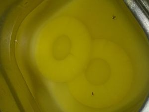 Supporting image for story: Stafford takeaway owners fined after dead flies found floating 