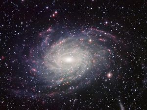 Supporting image for story: Search for ET to scan millions of stars