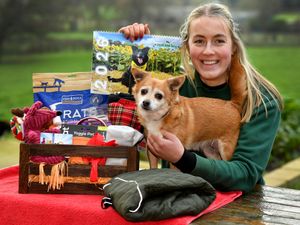 Supporting image for story: Animal rescue centre near Shrewsbury raffles luxury Christmas hamper to fund urgent roof repairs