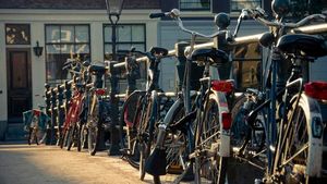 Supporting image for story