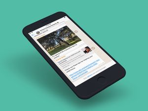 Supporting image for story