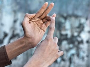British Sign Language