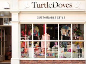 Supporting image for story: Turtle Doves gains 'traction around the world' 