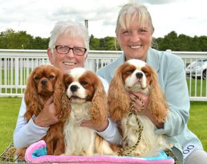 Supporting image for story