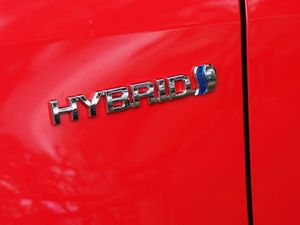 Supporting image for story: Hybrids: What are they and what are the benefits of choosing one?