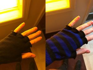 Supporting image for story: Where do the blue stripes go? The wonderfully simple science behind this optical illusion