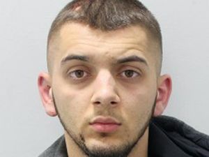 Supporting image for story