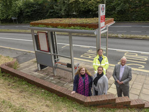 Supporting image for story: Plant-topped bus shelters installed in Halesowen to attract bees and cut carbon