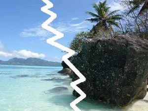 Supporting image for story: Life's not always a beach for rock stars