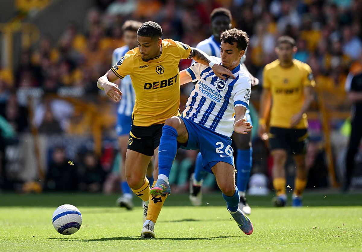 Wolves Fans Verdict v Brighton: Wolves outmuscled and outclassed at home