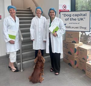 Pictured from left, Anne Stratton of Good2Great, Alex Thurstan of Different Dog and Michelle Jehu of
Good2Great.
