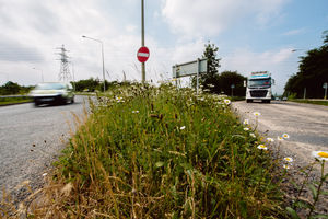 Action is now being taken to cut back overgrown verges
