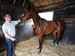 Supporting image for story: Team Hollinshead looks to the future