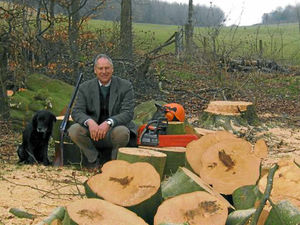 Supporting image for story: Here are three good reasons to manage farm woods