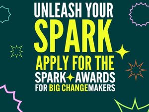 Supporting image for story: Do you have what it takes to spark Big Change?