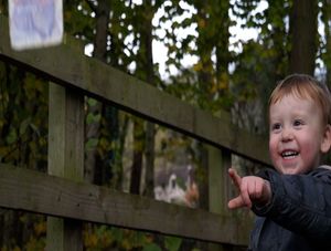 Supporting image for story: Shropshire rock band puts home town in the spotlight