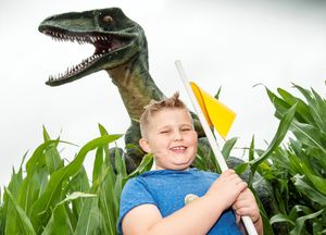 Supporting image for story: Review: National Forest Adventure Farm offers a conveyor belt of activities for family fun
