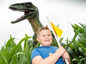Supporting image for story: Review: National Forest Adventure Farm offers a conveyor belt of activities for family fun