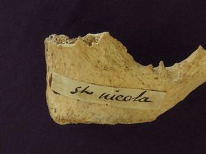 Supporting image for story: Could bone fragment owned by American priest belong to Father Christmas?