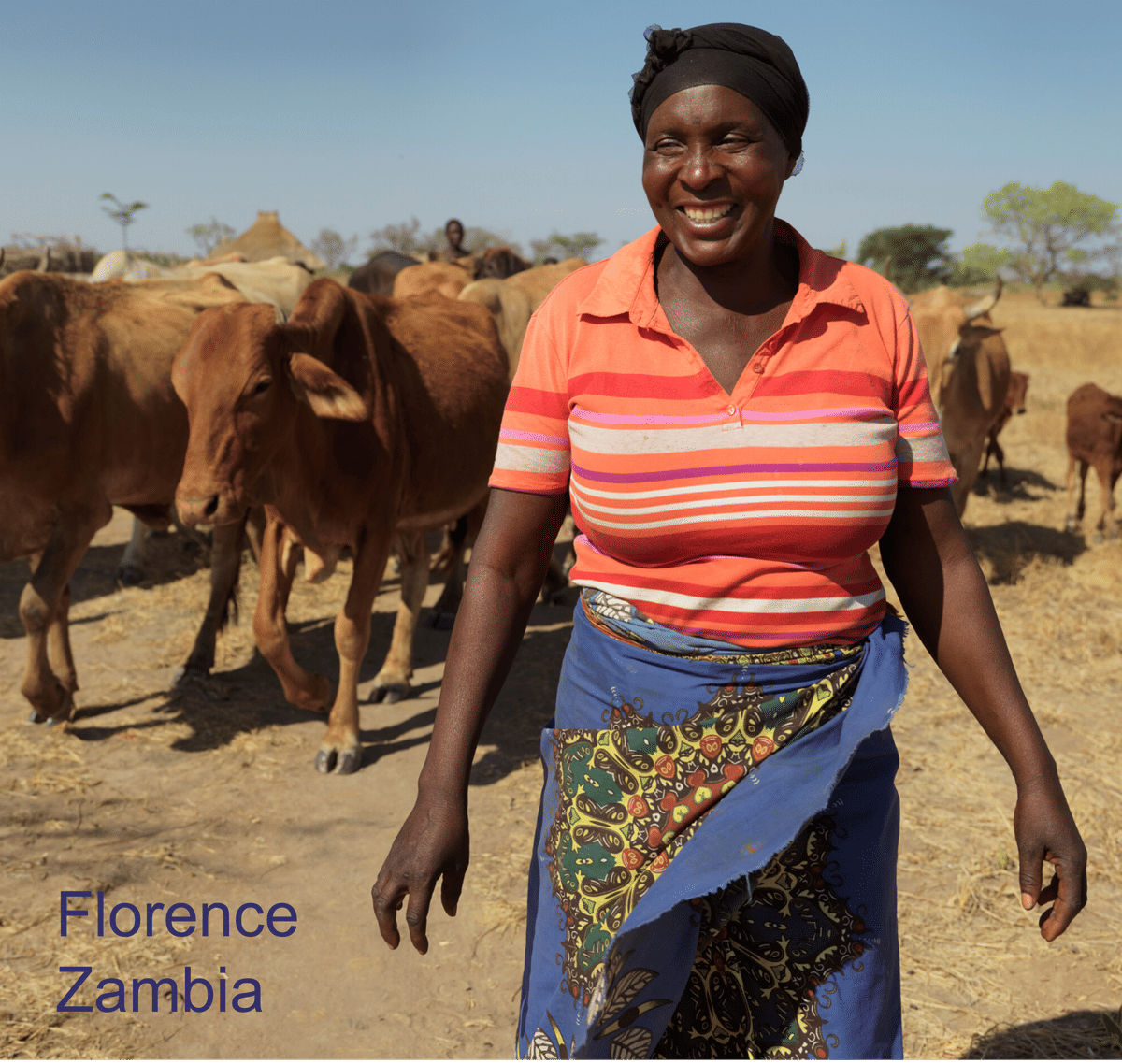 Cannock Rotary: Helping those in need help themselves