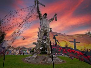 Supporting image for story: Poppies brighten up Brownhills island ahead of Remembrance Sunday