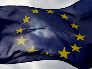 Supporting image for story: Silence over EU remarks