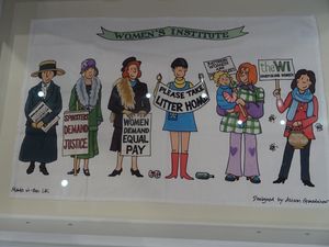 Tea Towel showing some of the WI Campaigns