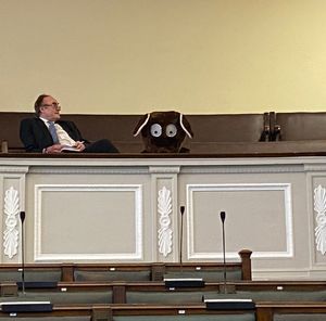 A man dressed as a rat during a Birmingham council meeting on April 8. Credit: Alexander Brock. Permission for use for all LDRS partners.
