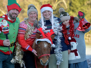Supporting image for story: 'Tis the season for dressing up in Christmas costumes at equestrian competition 