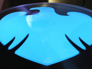 Supporting image for story: Shropshire climate protesters deny they intended to force bank branch to close