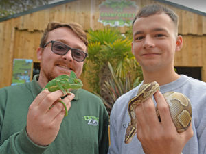 Supporting image for story: Two reptiles dead after freak flood at exotic animal shop in Telford
