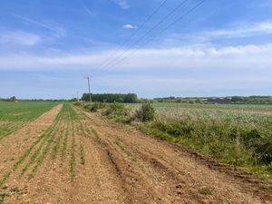 A dry field sown with crops under a blue hazy sky